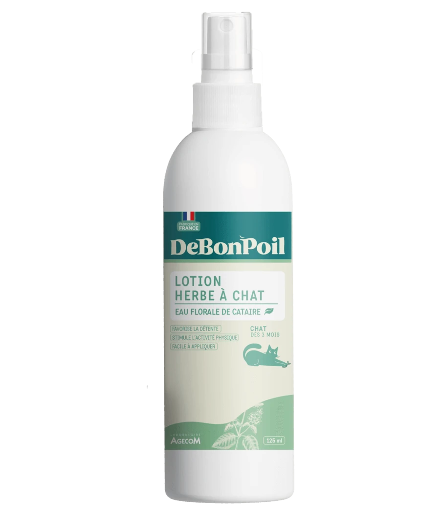 Lotion herbe à Chat
